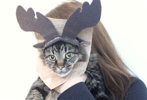 10 DIY Cat Costume Ideas for Halloween | Diy halloween costumes easy ...