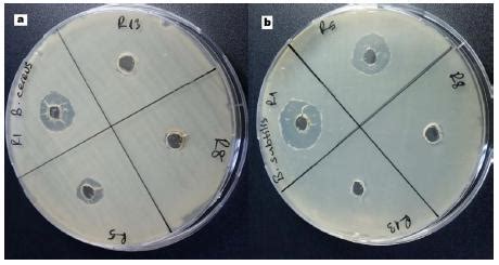 Scielo Brasil Unsymmetrically Substituted Imidazolium Salts