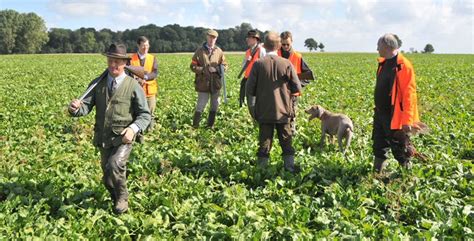 Ouverture Générale De La Chasse Les Dates Par Département Air And Nature