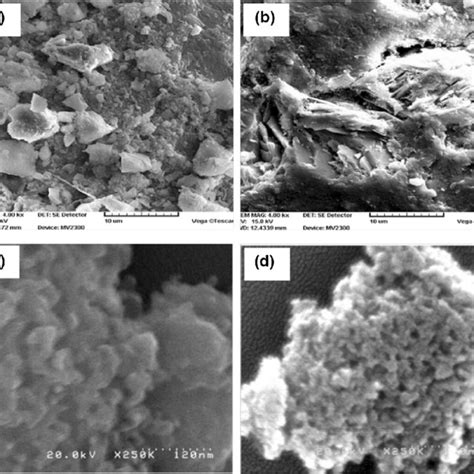 Scanning Electron Microscopy Of A Corn Cob Reprinted With Permission