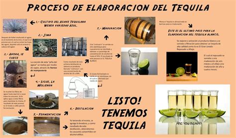 Cómo se hace el tequila Cómo se toma Proceso preparación y más