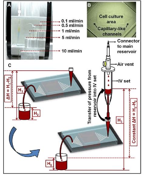 A Photograph Of Simple Microfluidic Perfusion Setup With Varying