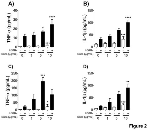 Concentrations of TNF α and IL 1β were measured by ELISA in culture