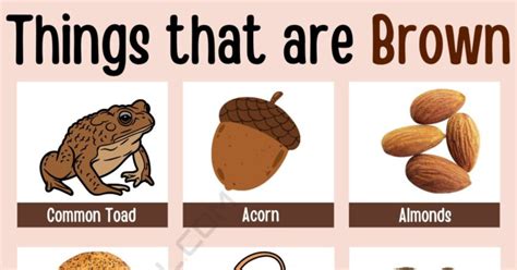 popular    brown  english esl