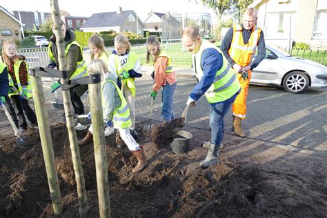 Wethouders En Leerlingen Planten Bomen In Ferwert En Damw Ld Rtv