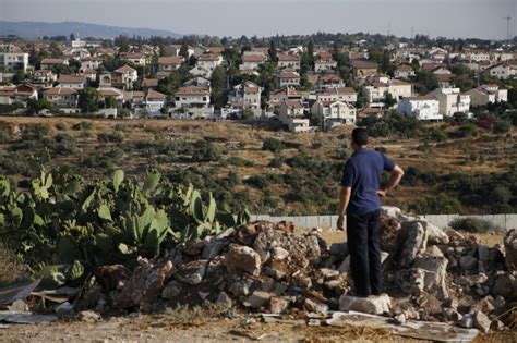 Cisjordanie Au Moins 260 Palestiniens Ont été Tués Par Des Colons