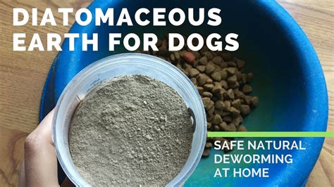 Is Diatomaceous Earth Safe For Dogs