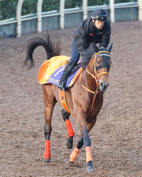 【pog】g1馬の半弟ケイアイブイスリーは来週の京都・芝1400メートルでデビュー 鞍上は坂井瑠星騎手 Umatoku 馬トク