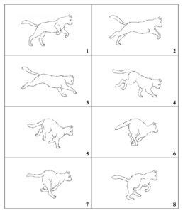 10 Best Printable Flip Books Printablee Fillable Form 2024