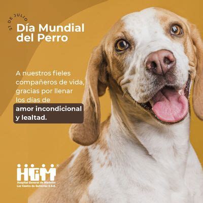 D A Mundial Del Perro