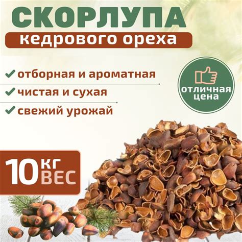 Скорлупа кедрового ореха 10кг отборная с Алтая, новый урожай - купить с ...