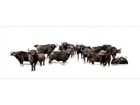 Buffalo Herd Painting