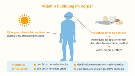 Warum Wir Vitamin D3 Brauchen White Omega