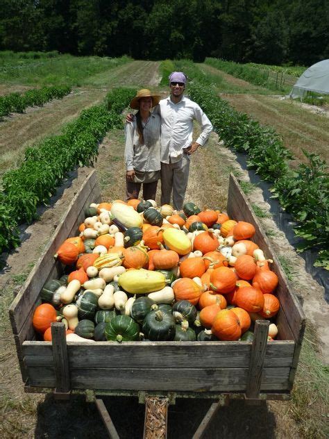 20 Organic Farming ideas | organic farming, organic, farm