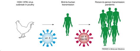 Strategies For Developing Vaccines Against H5n1 Influenza A Viruses