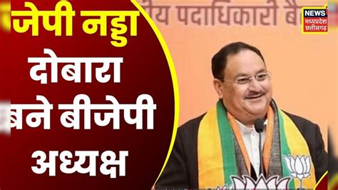 Jp Nadda के कार्यकाल को एक साल के लिए बढ़ाया 2024 तक Bjp के अध्यक्ष