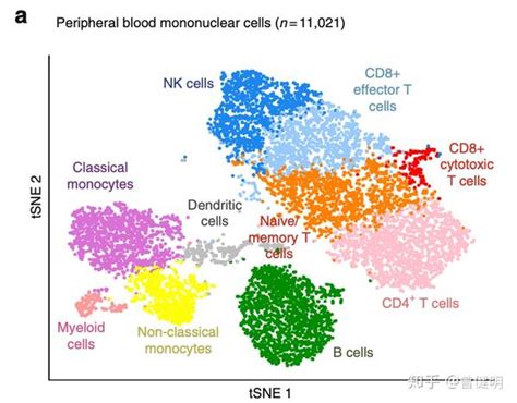单细胞转录组数据处理之细胞亚群注释 知乎