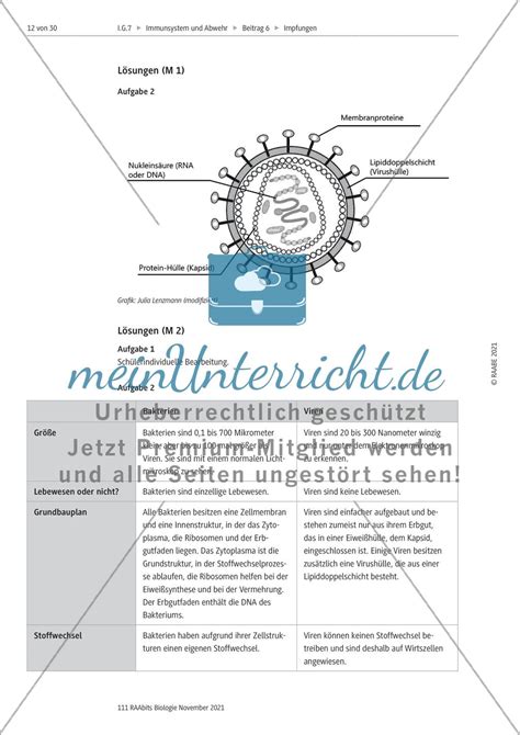 Aktive Und Passive Immunisierung M1 M3 Meinunterricht