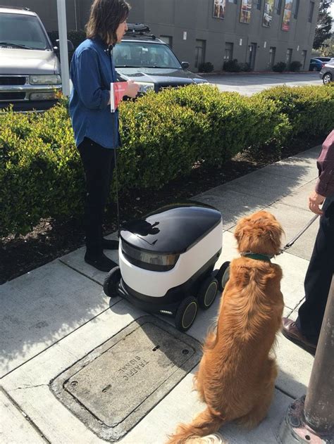 DoorDash Delivery Robots Now Crawling Bay Area Sidewalks: SFist