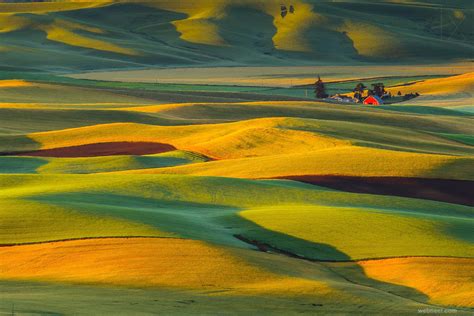 25 Award Winning Yellow Themed Photography Examples For You