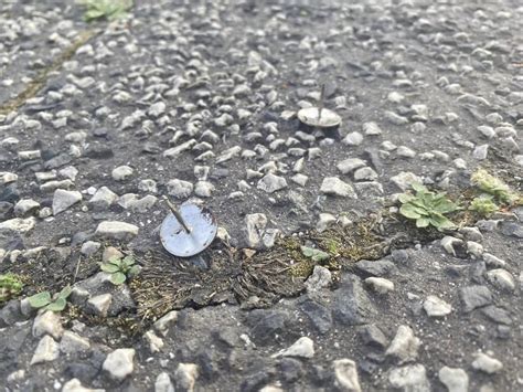 Budete Prekvapen Ko Ko Zloby Je V Niektor Ch U Och Cyklista To