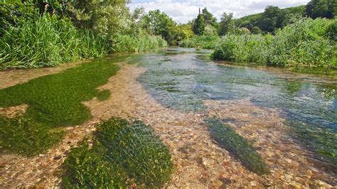 Chilterns Chalk Stream Project Secures £350k Development Grant Bbc News