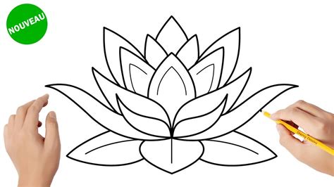 Comment dessiner une fleur de lotus