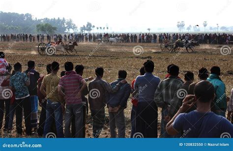 Bullock cart race editorial image. Image of outdoor - 120832550