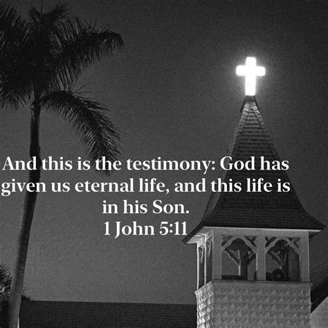 1 John 511 And This Is The Testimony God Has Given Us Eternal Life