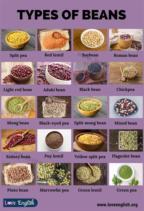 Types of Beans: 21 Different Types of Beans that You Should Try - Love ...