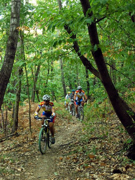 Parco Dei Boschi Di Carrega Itinerari Il Parco In Mountain Bike