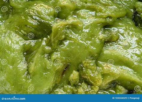 Agua De La Hoja Del Pandanus Con Textura De La Harina De Patata Imagen