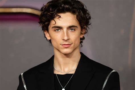 Timoth E Chalamet Fue Expuesto En La Fiesta Navide A De Kim Kardashian