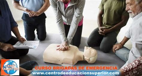 Curso Brigadas De Emergencia 40 Horas Virtual Grátis Modalidad