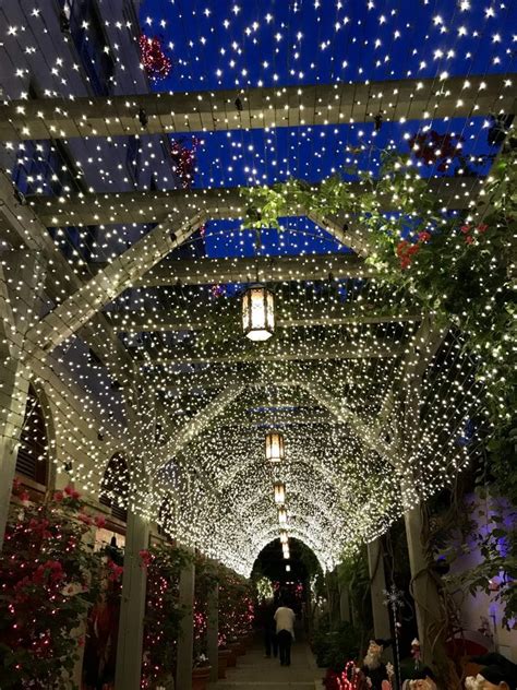 Christmas Lights In Riverside Ca 2021 – Best Christmas Lights 2021