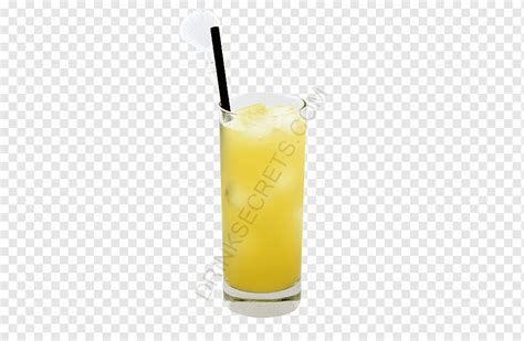 Orange Drink Screwdriver Harvey Wallbanger Orange Juice Fuzzy Navel