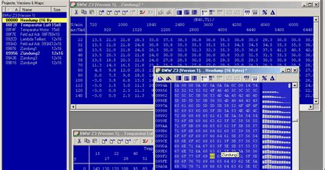 Winols Full Download - forkidsrenew