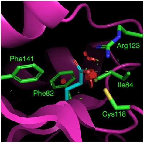 Structural Model Of The KRAS Gly115Glu Variant With Key Residue