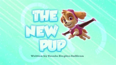 The New Pup - PAW Patrol Wiki - Wikia