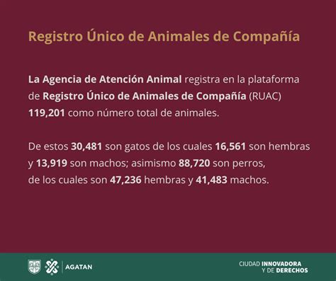 Registro Único de Animales de Compañía