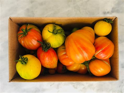 Tomato Club – The Burnt Hill Herb Co.