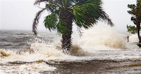 Hurricane Michael makes landfall at 155 mph