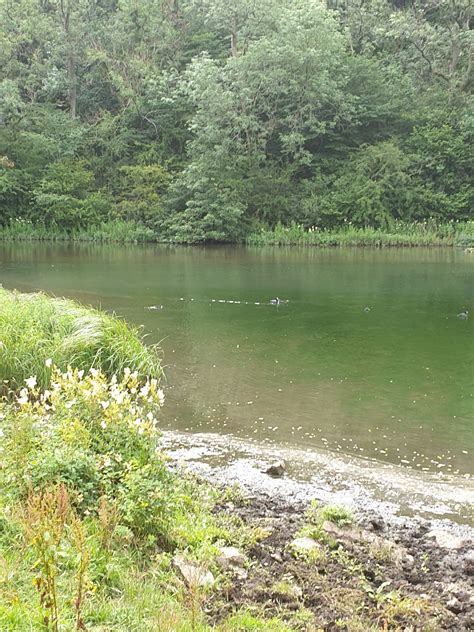 The Best Hikes And Walks In Noreuil Outdooractive