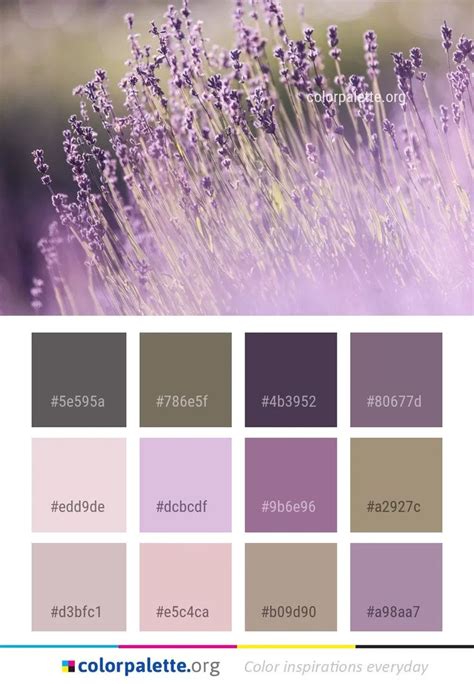 What Colors Go With Lavendar