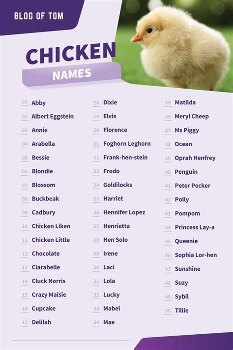 Chicken Names Chicken Names Cute Chicken Names Funny Chicken Names