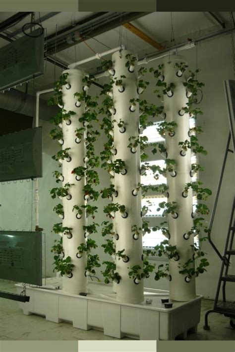 30 Grow Room Design Ideas Professional Grow Room Setup