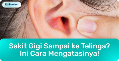 Sakit Gigi Sampai Ke Telinga Ini Penyebab Dan Cara Atasinya