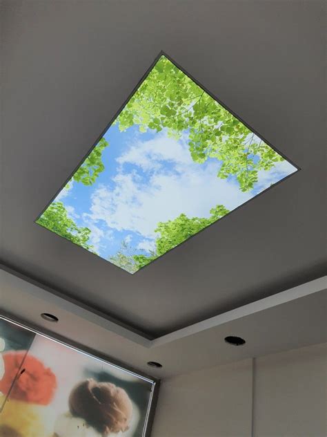 Virtual Skylights Installations Photos Artofit