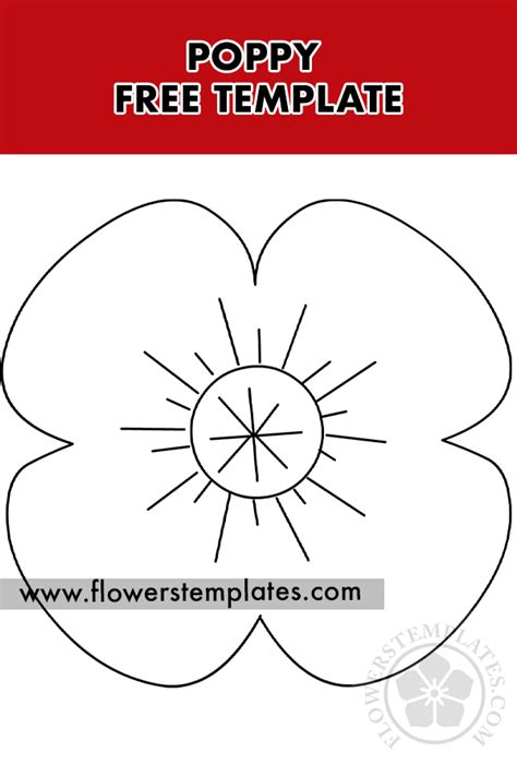 Poppy flower outline | Flowers Templates