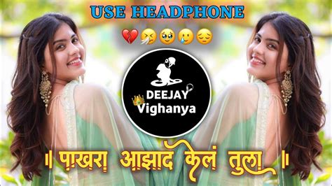 Pakhara Azad Kela Tula पाखरा आझाद केलं तुला Dj Song Its Vighanya